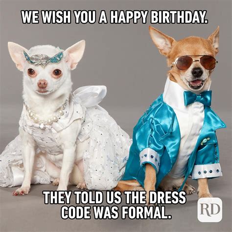 funny birthday memes|happy birthday ugly memes.